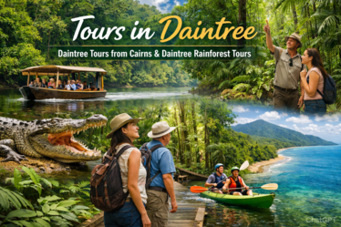 Tours in Daintree | Daintree Tours from Cairns & Daintree Rainforest Tours